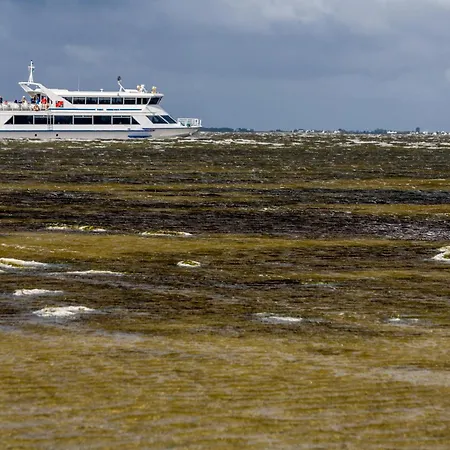 Homes In - Insel Ruegen 2934